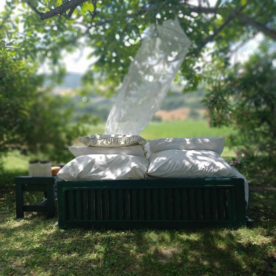 Le Bumbarelle Bed & Breakfast Tavoleto Bagian luar foto