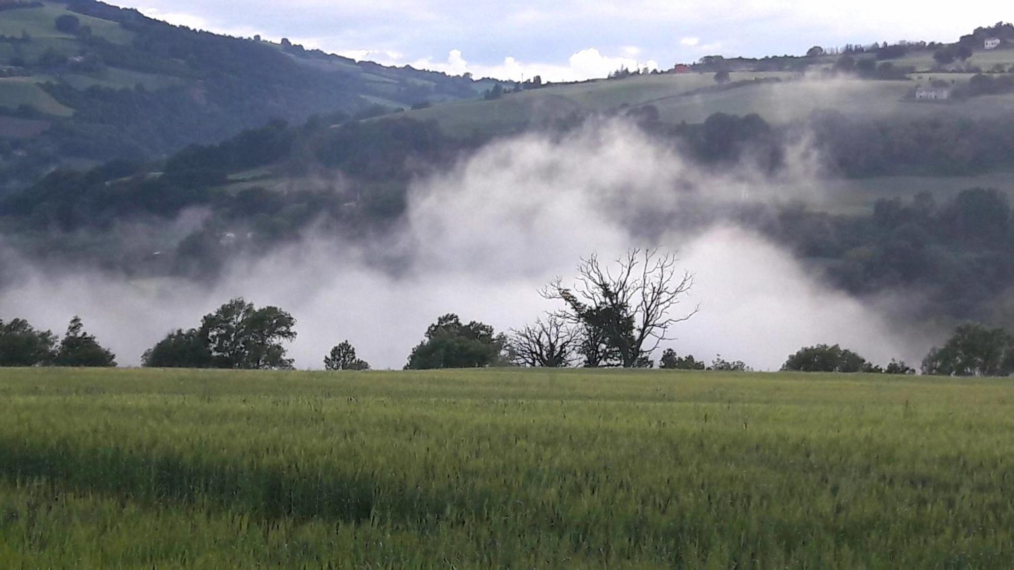 Le Bumbarelle Bed & Breakfast Tavoleto Bagian luar foto