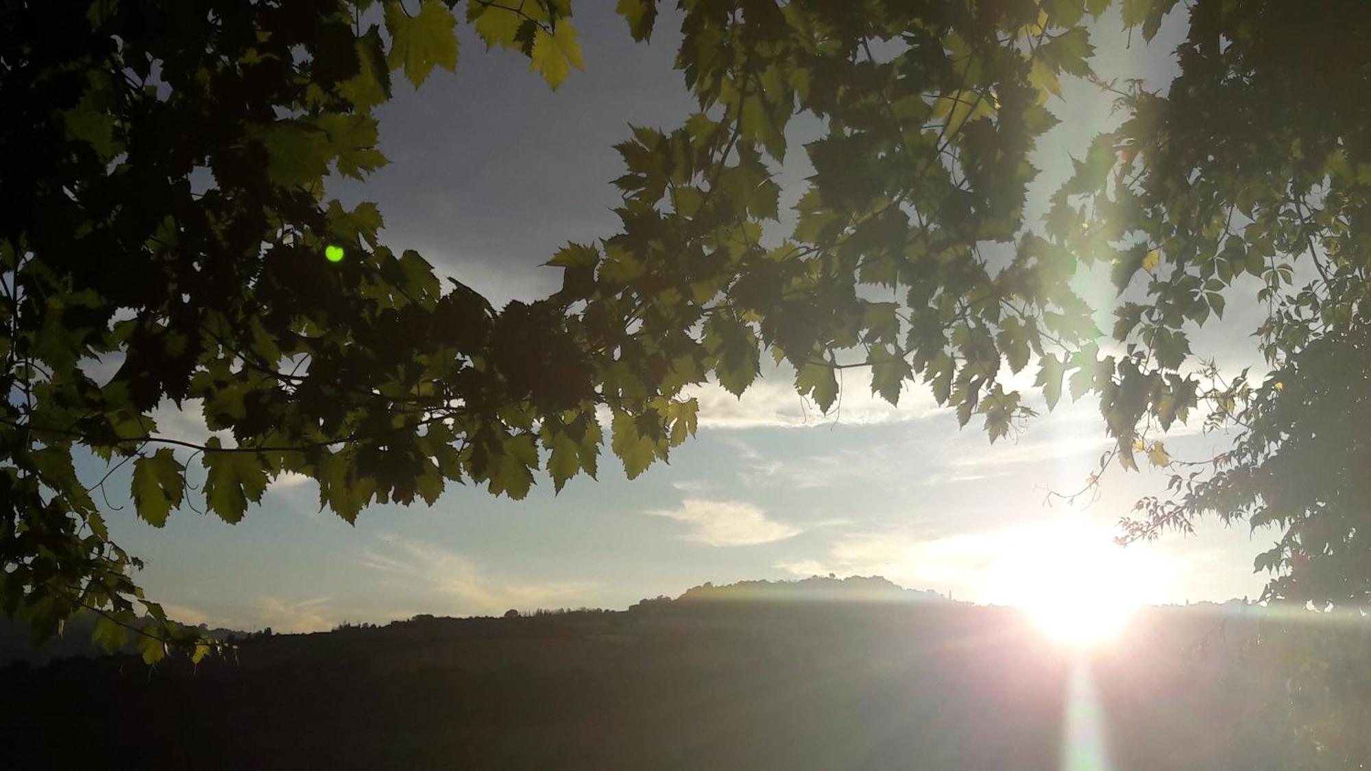 Le Bumbarelle Bed & Breakfast Tavoleto Bagian luar foto
