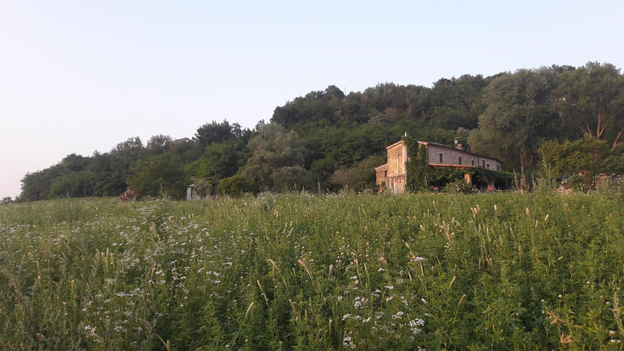 Le Bumbarelle Bed & Breakfast Tavoleto Bagian luar foto