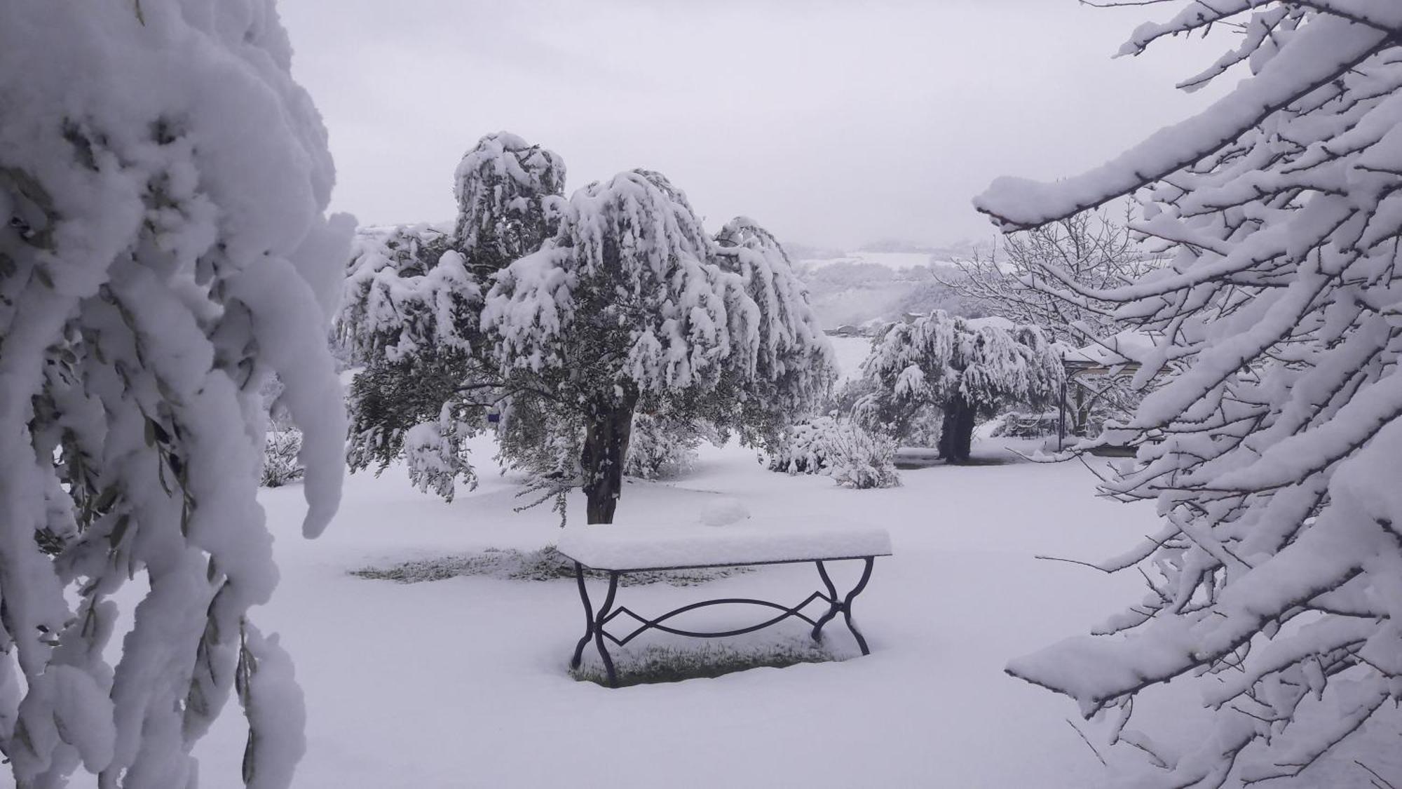 Le Bumbarelle Bed & Breakfast Tavoleto Bagian luar foto