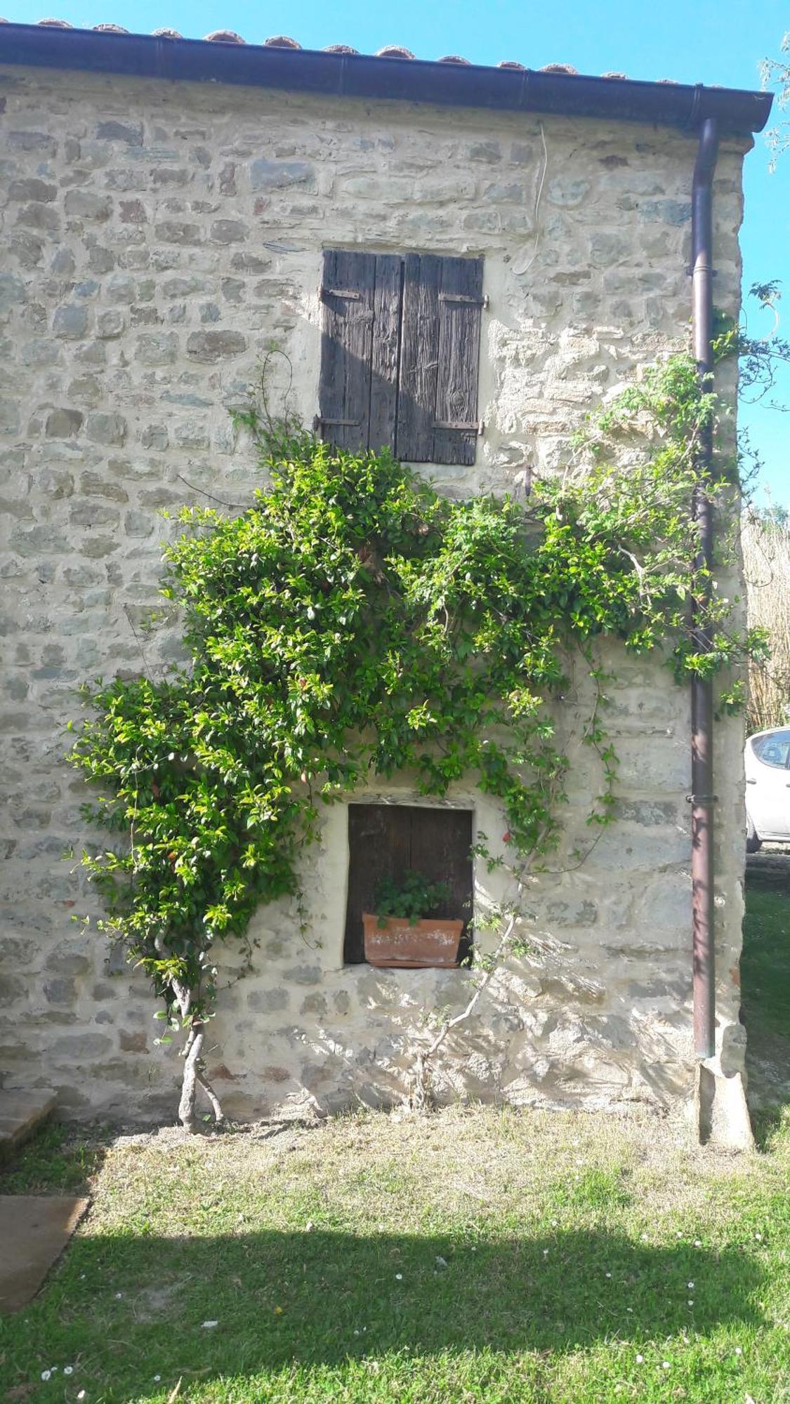 Le Bumbarelle Bed & Breakfast Tavoleto Bagian luar foto
