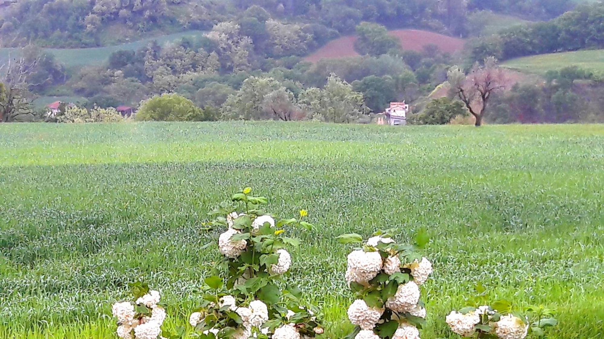 Le Bumbarelle Bed & Breakfast Tavoleto Bagian luar foto