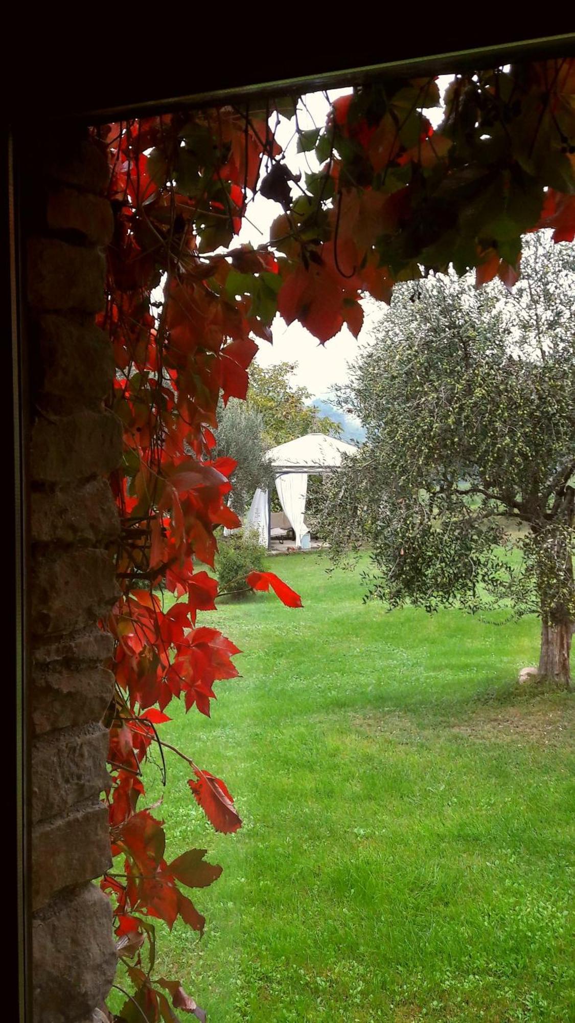 Le Bumbarelle Bed & Breakfast Tavoleto Bagian luar foto