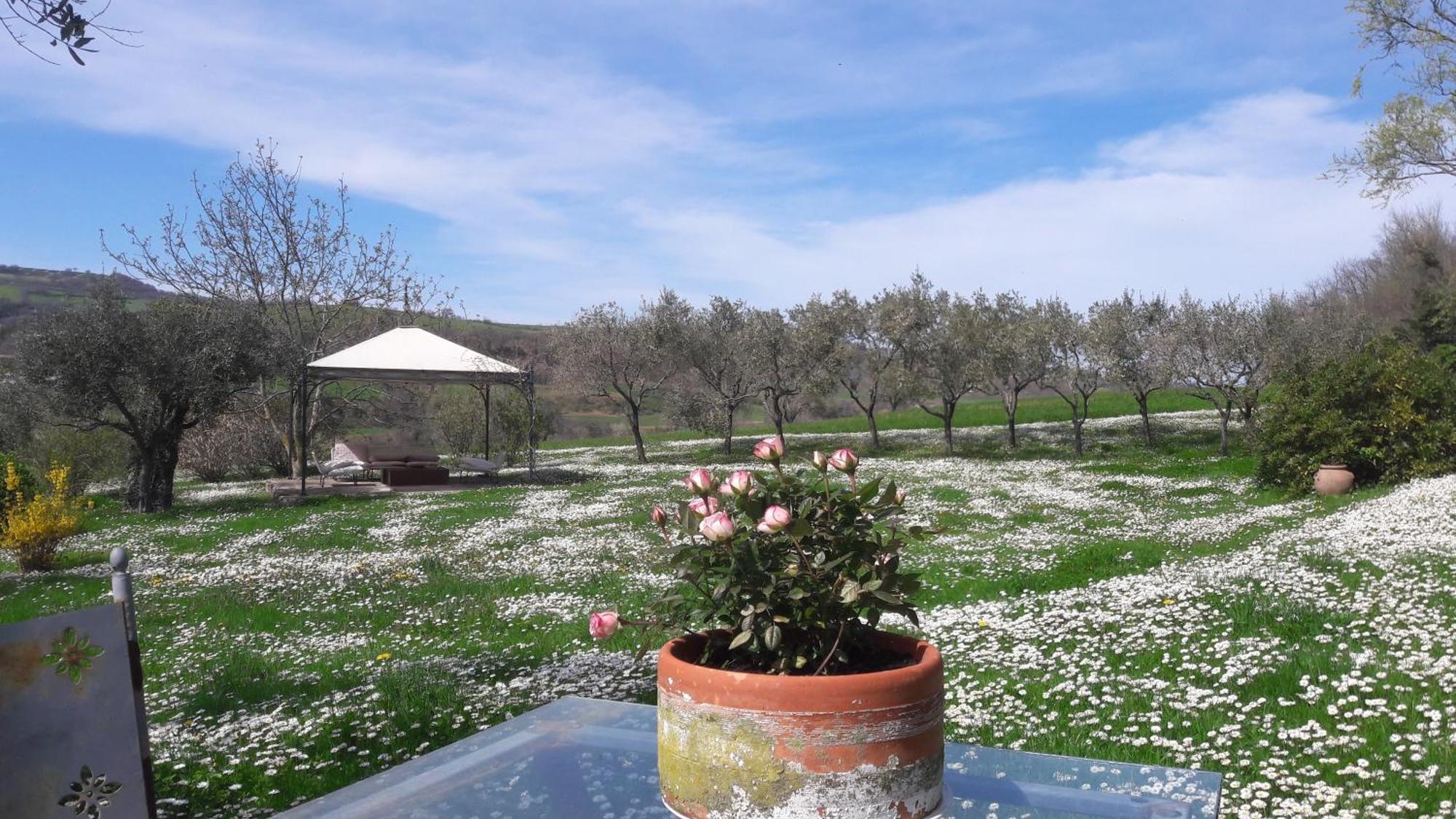 Le Bumbarelle Bed & Breakfast Tavoleto Bagian luar foto
