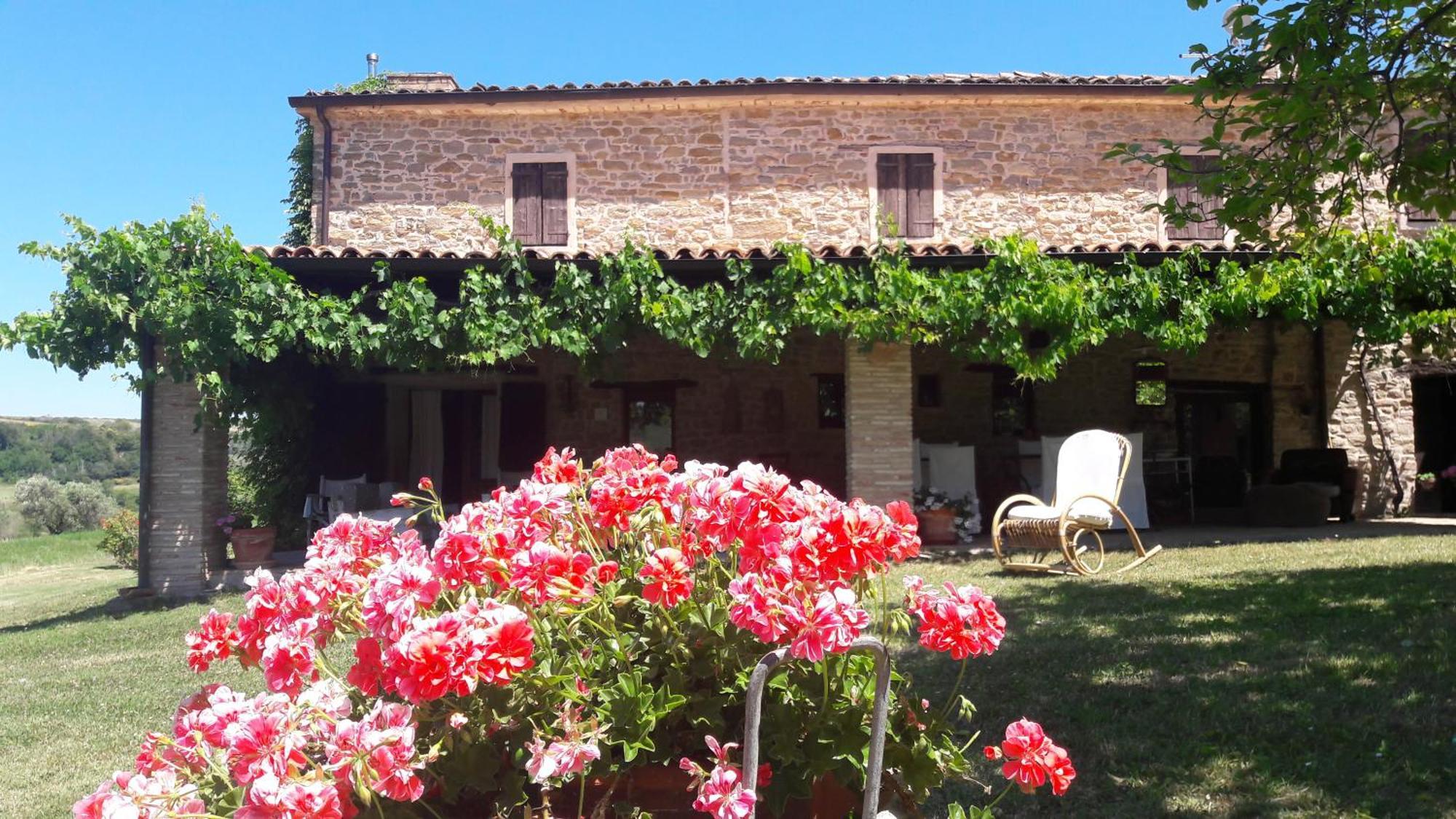 Le Bumbarelle Bed & Breakfast Tavoleto Bagian luar foto