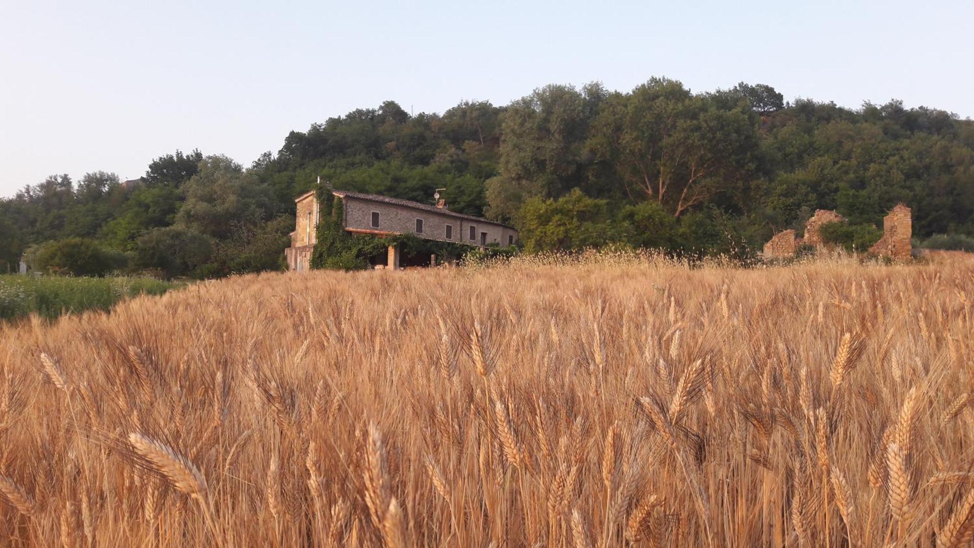 Le Bumbarelle Bed & Breakfast Tavoleto Bagian luar foto