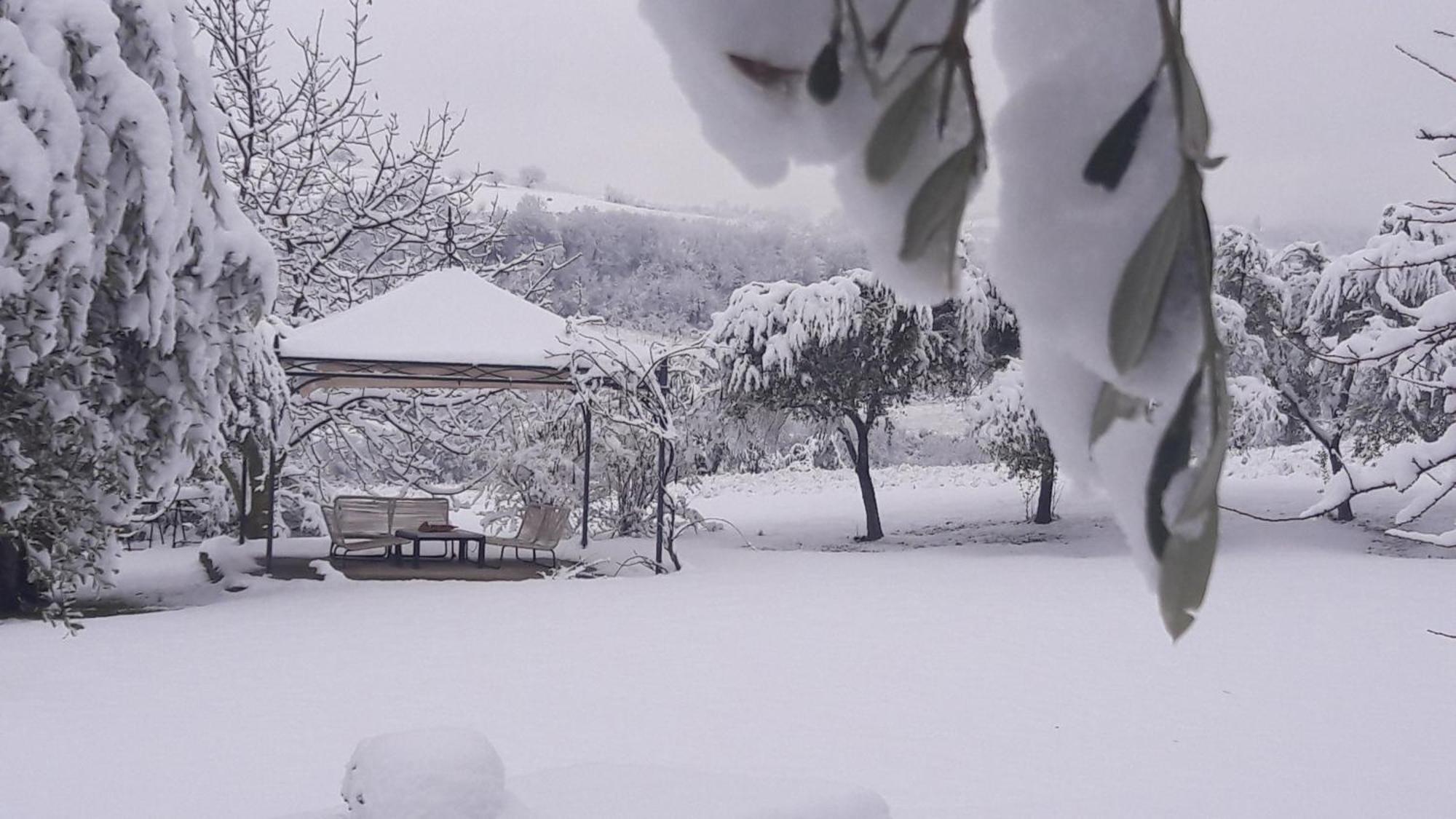 Le Bumbarelle Bed & Breakfast Tavoleto Bagian luar foto