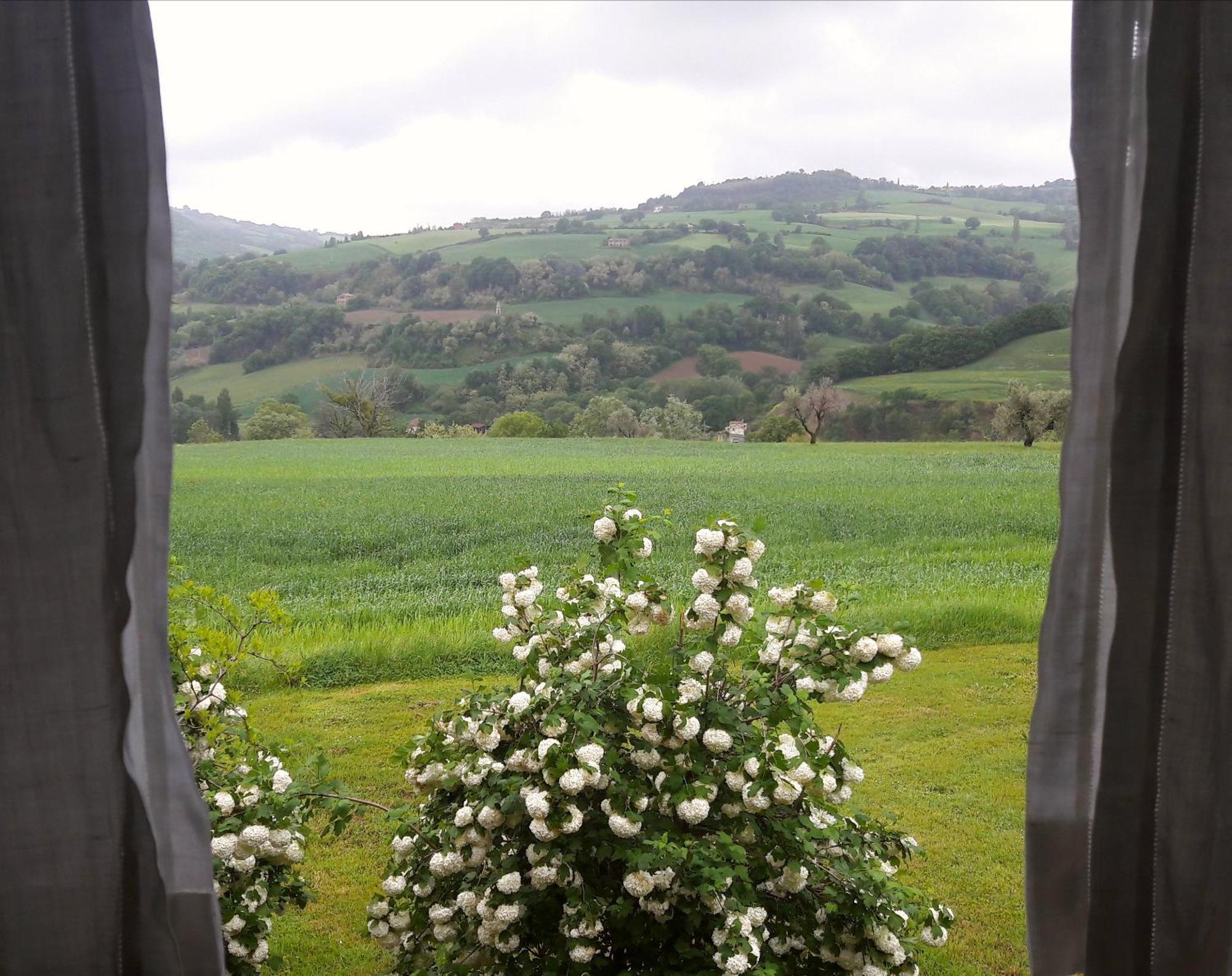 Le Bumbarelle Bed & Breakfast Tavoleto Bagian luar foto
