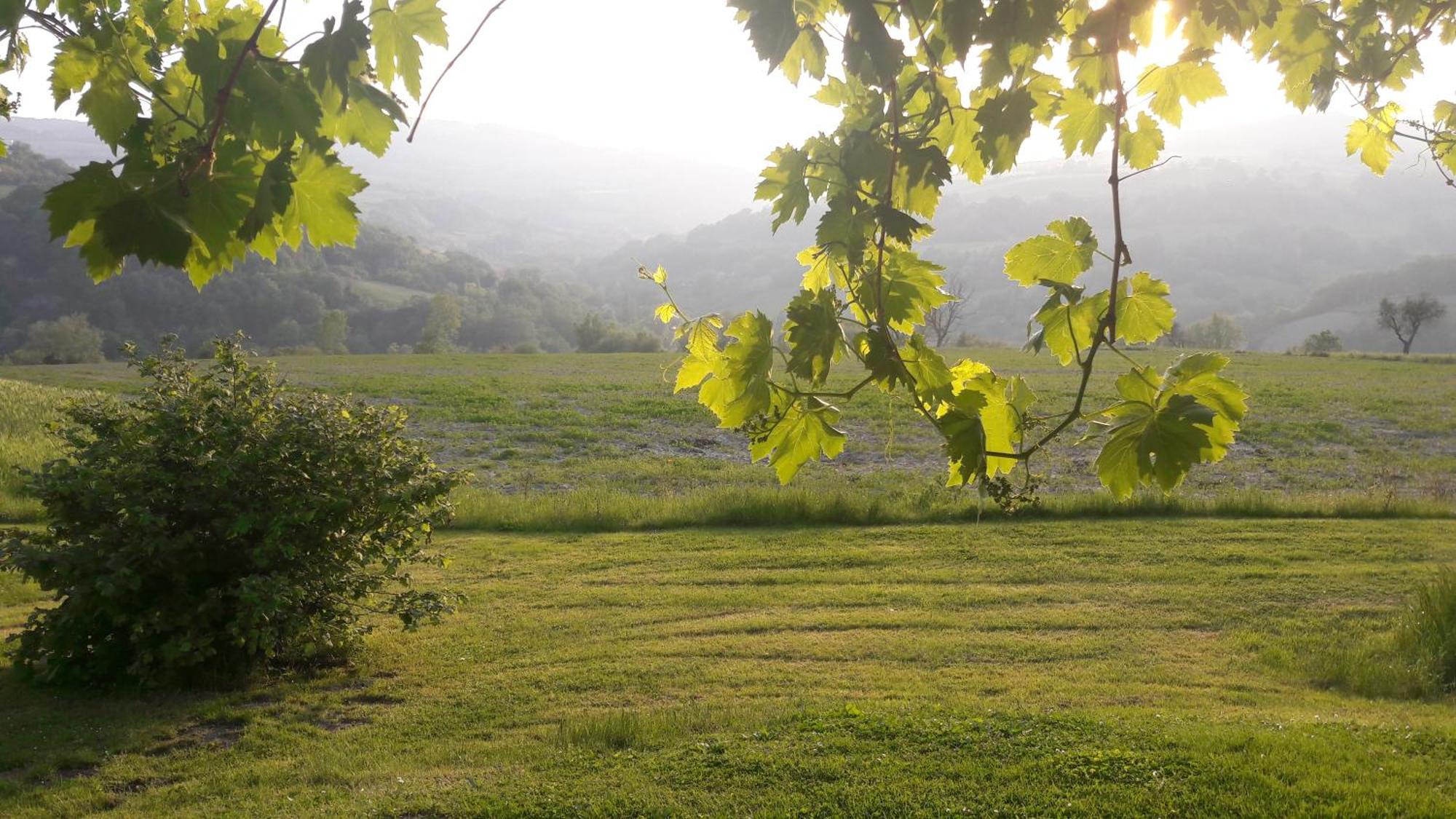 Le Bumbarelle Bed & Breakfast Tavoleto Bagian luar foto