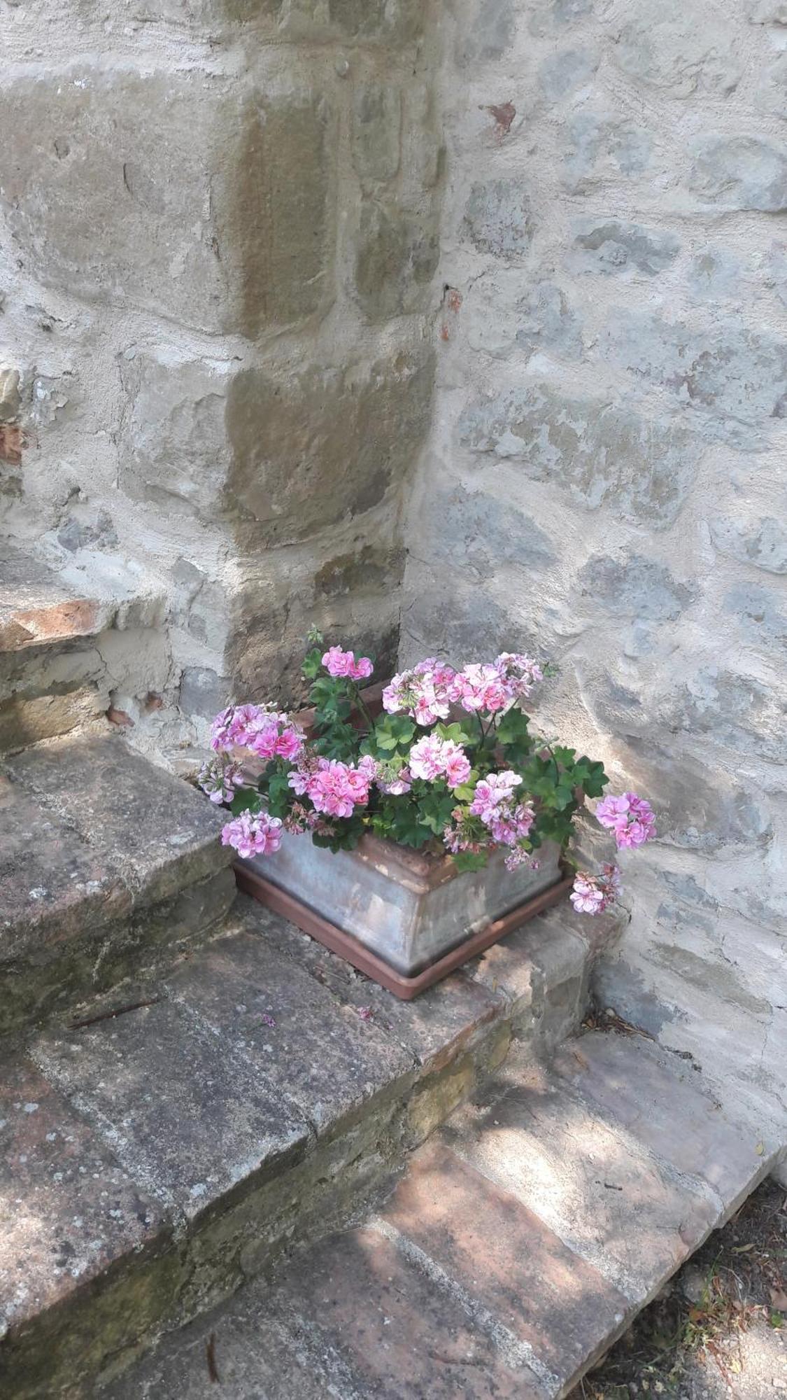 Le Bumbarelle Bed & Breakfast Tavoleto Bagian luar foto