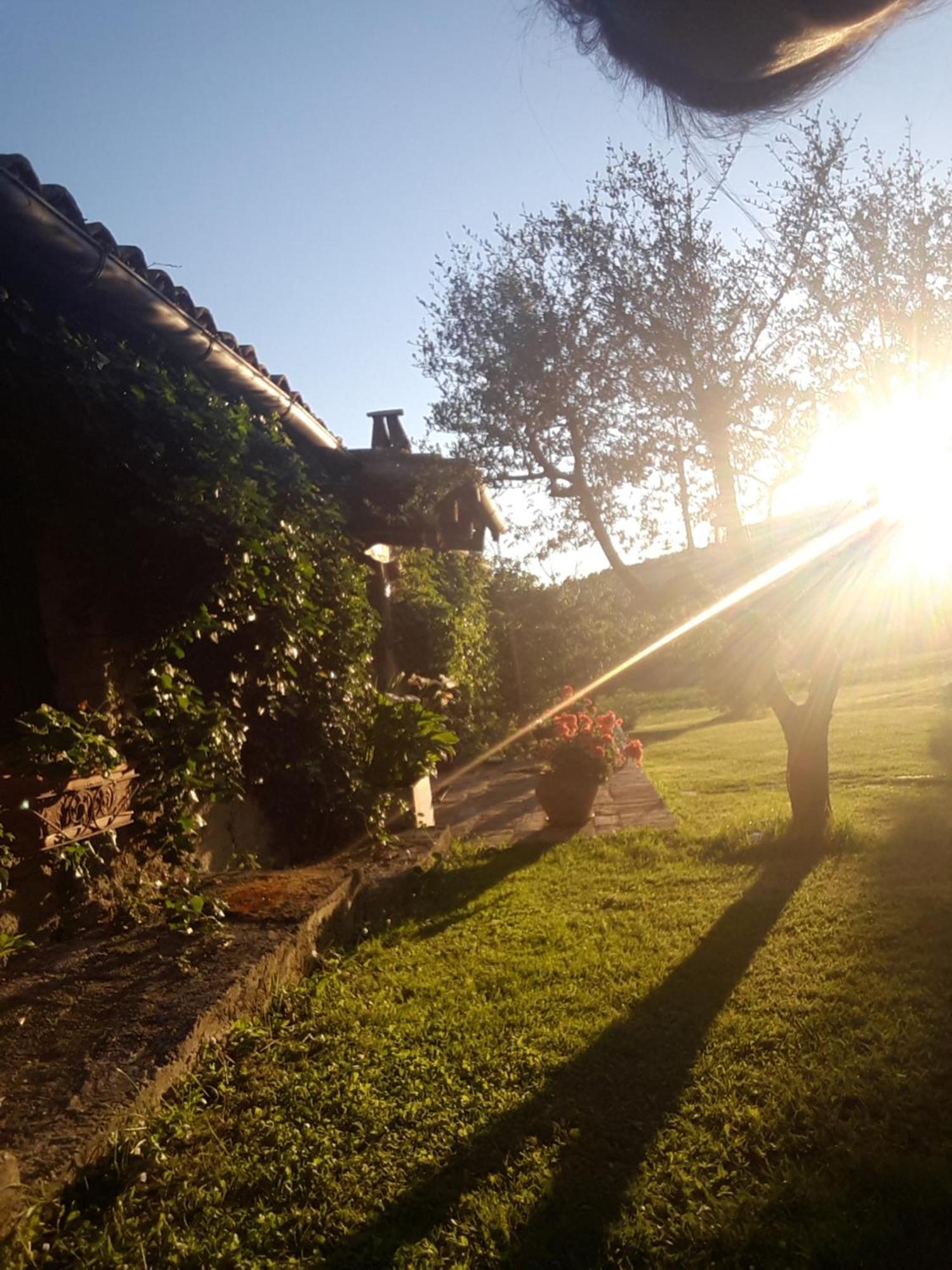 Le Bumbarelle Bed & Breakfast Tavoleto Bagian luar foto