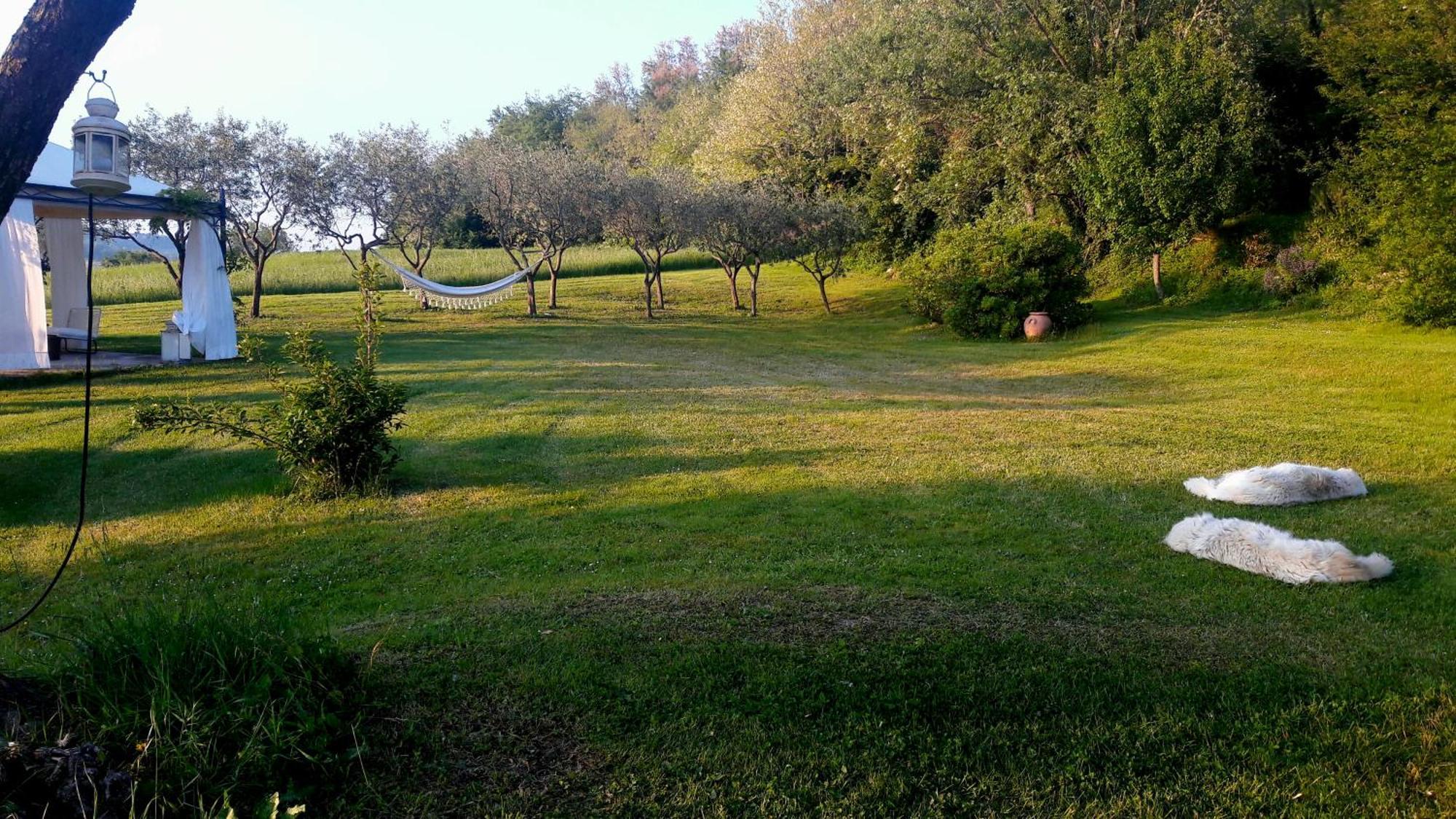 Le Bumbarelle Bed & Breakfast Tavoleto Bagian luar foto