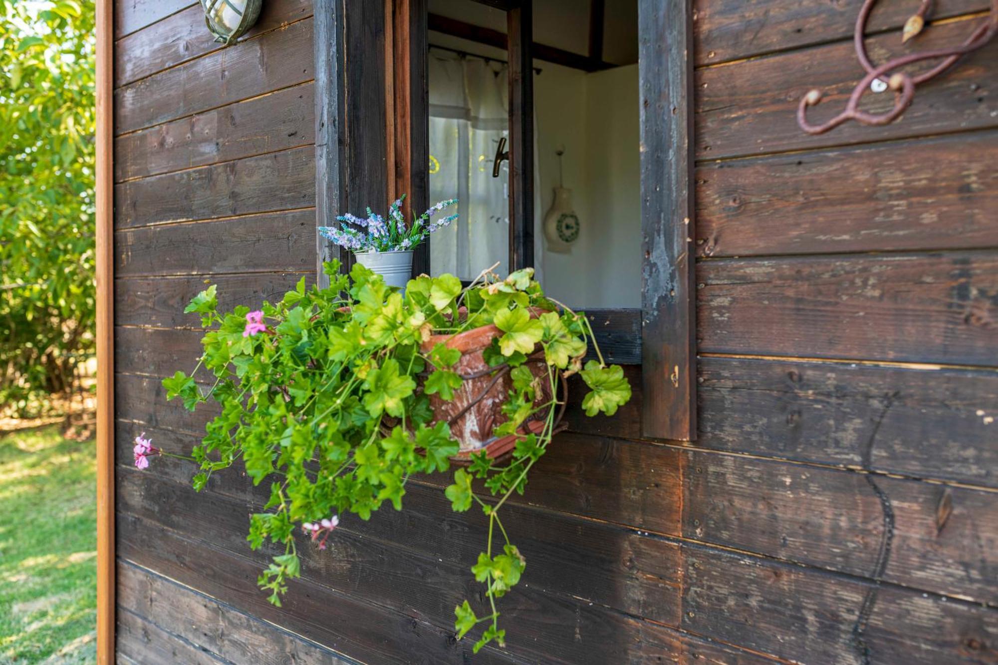 Le Bumbarelle Bed & Breakfast Tavoleto Bagian luar foto