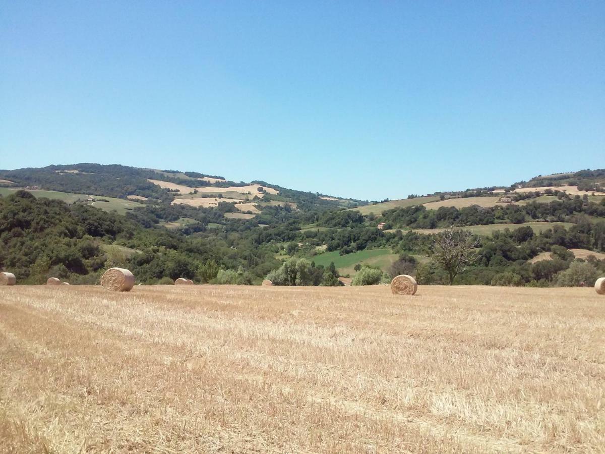 Le Bumbarelle Bed & Breakfast Tavoleto Bagian luar foto