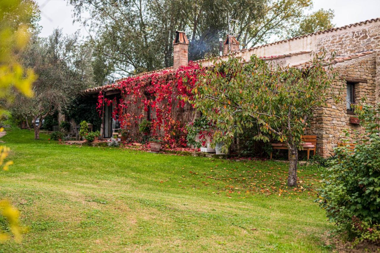 Le Bumbarelle Bed & Breakfast Tavoleto Bagian luar foto